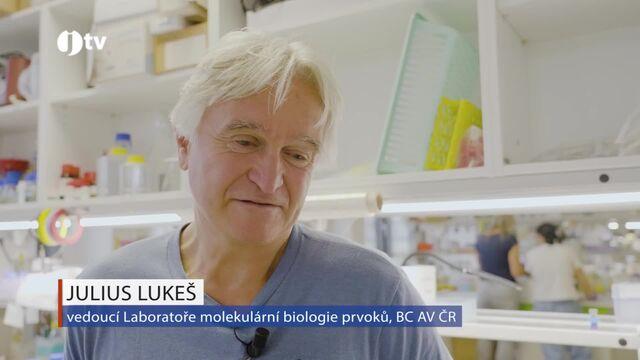 Julius Lukeš - vedoucí Laboratoře molekulární biologie prvoků, Biologické centrum AV ČR