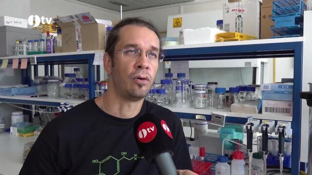 Ústav molekulární biologie rostlin - Biologické centrum AV ČR