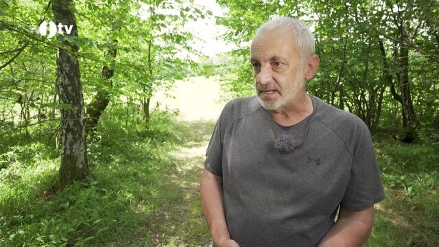 Novohradské a Slepičí hory