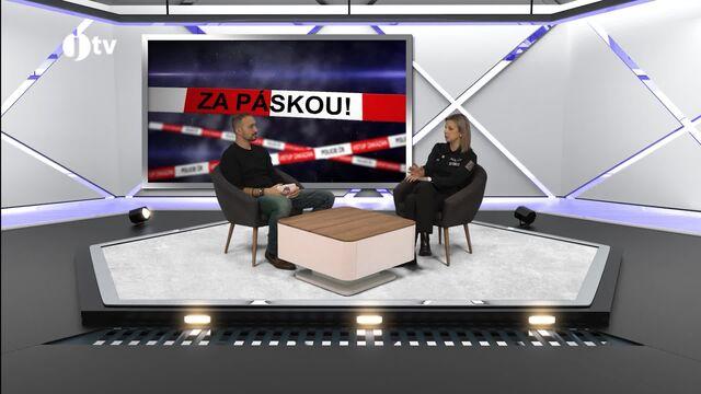29. díl