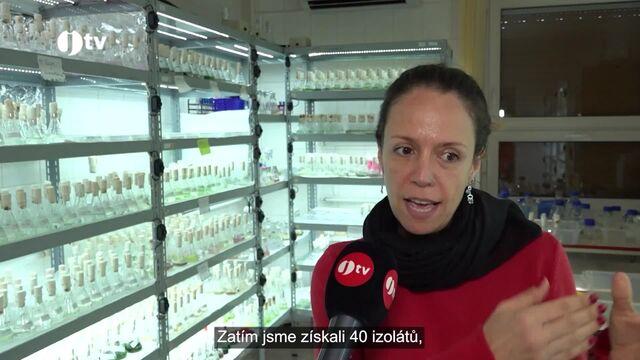 Biologické centrum AV ČR - Hydrobiologický ústav