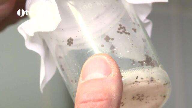 Epizoda 11. 10. 2025