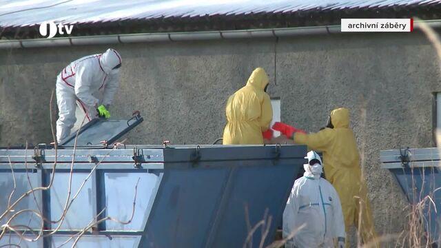 Epizoda 17. 11. 2025