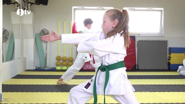 Sportovní klub Karate Panthers Český Krumlov