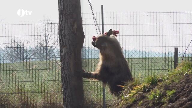 Zoo Na Hrádečku