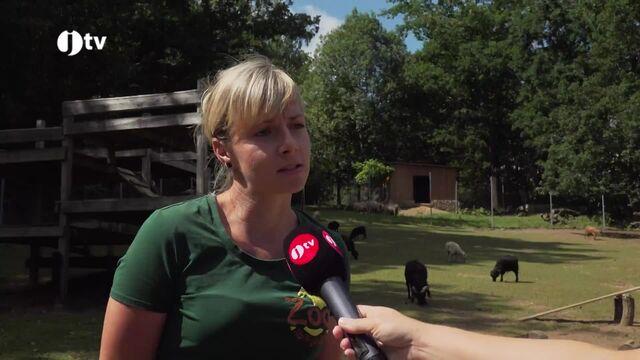 Zoo Na Hrádečku